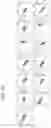 Fig. 44 - MODULATORS OF CELL SURFACE PROTEIN INTERACTIONS AND METHODS AND COMPOSITIONS RELATED TO SAME