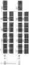 Fig. 57 - MODULATORS OF CELL SURFACE PROTEIN INTERACTIONS AND METHODS AND COMPOSITIONS RELATED TO SAME