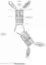 Fig. 11 - ALK7:ActRIIB heteromultimers and uses thereof