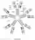 Fig. 18 - ALK7:ActRIIB heteromultimers and uses thereof