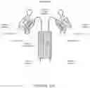 Fig. 23 - ALK7:ActRIIB heteromultimers and uses thereof