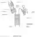 Fig. 25 - ALK7:ActRIIB heteromultimers and uses thereof