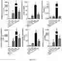 Fig. 27 - ALK7:ActRIIB heteromultimers and uses thereof