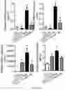 Fig. 28 - ALK7:ActRIIB heteromultimers and uses thereof