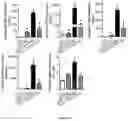 Fig. 29 - ALK7:ActRIIB heteromultimers and uses thereof