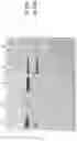 Fig. 05 - RECOMBINANT VECTOR, HOST CELL AND PROCESS FOR PRODUCTION OF HUMAN SERUM ALBUMIN