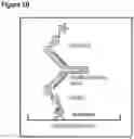 Fig. 03 - TECHNIQUES FOR PREDICTING, DETECTING AND REDUCING ASPECIFIC PROTEIN INTERFERENCE IN ASSAYS INVOLVING IMMUNOGLOBULIN SINGLE VARIABLE DOMAINS
