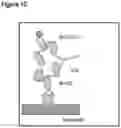 Fig. 04 - TECHNIQUES FOR PREDICTING, DETECTING AND REDUCING ASPECIFIC PROTEIN INTERFERENCE IN ASSAYS INVOLVING IMMUNOGLOBULIN SINGLE VARIABLE DOMAINS