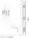 Fig. 06 - Compositions for preventing or treating viral and other microbial infections