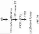Fig. 08 - Compositions for preventing or treating viral and other microbial infections