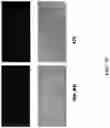 Fig. 11 - Compositions for preventing or treating viral and other microbial infections