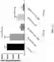 Fig. 26 - Compositions for preventing or treating viral and other microbial infections