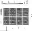 Fig. 27 - Compositions for preventing or treating viral and other microbial infections