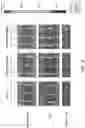 Fig. 32 - Compositions for preventing or treating viral and other microbial infections
