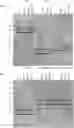 Fig. 01 - PATHOGEN BINDING PROTEINS