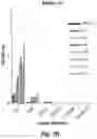 Fig. 26 - Antibodies to human complement C2B