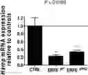 Fig. 01 - VARIANTS OF ERYTHROFERRONE AND THEIR USE