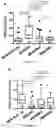 Fig. 05 - VARIANTS OF ERYTHROFERRONE AND THEIR USE