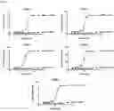 Fig. 16 - SIRP1α targeted chimeric proteins and uses thereof
