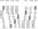 Fig. 33 - SIRP1α targeted chimeric proteins and uses thereof