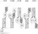 Fig. 44 - SIRP1α targeted chimeric proteins and uses thereof