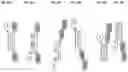 Fig. 45 - SIRP1α targeted chimeric proteins and uses thereof