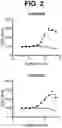 Fig. 03 - Anti-TREM2 antibodies and methods of use thereof