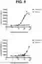 Fig. 06 - Anti-TREM2 antibodies and methods of use thereof