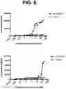 Fig. 07 - Anti-TREM2 antibodies and methods of use thereof