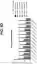 Fig. 14 - Anti-TREM2 antibodies and methods of use thereof