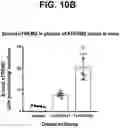 Fig. 19 - Anti-TREM2 antibodies and methods of use thereof