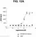Fig. 22 - Anti-TREM2 antibodies and methods of use thereof