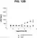 Fig. 23 - Anti-TREM2 antibodies and methods of use thereof