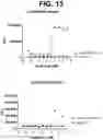 Fig. 24 - Anti-TREM2 antibodies and methods of use thereof