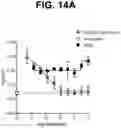 Fig. 25 - Anti-TREM2 antibodies and methods of use thereof