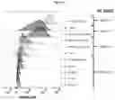 Fig. 32 - Heterodimeric antibodies that bind prostate specific membrane antigen (PSMA) and CD3