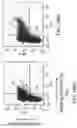 Fig. 147 - Proteins binding NKG2D, CD16 and CLEC12A