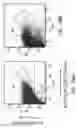 Fig. 149 - Proteins binding NKG2D, CD16 and CLEC12A