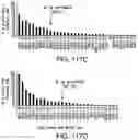 Fig. 166 - Proteins binding NKG2D, CD16 and CLEC12A