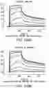 Fig. 192 - Proteins binding NKG2D, CD16 and CLEC12A