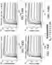 Fig. 205 - Proteins binding NKG2D, CD16 and CLEC12A