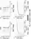 Fig. 210 - Proteins binding NKG2D, CD16 and CLEC12A