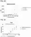 Fig. 23 - Proteins binding NKG2D, CD16 and CLEC12A