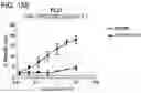 Fig. 243 - Proteins binding NKG2D, CD16 and CLEC12A
