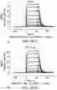 Fig. 252 - Proteins binding NKG2D, CD16 and CLEC12A