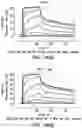Fig. 258 - Proteins binding NKG2D, CD16 and CLEC12A