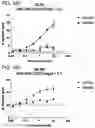 Fig. 303 - Proteins binding NKG2D, CD16 and CLEC12A