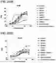 Fig. 307 - Proteins binding NKG2D, CD16 and CLEC12A