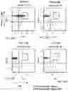Fig. 31 - Proteins binding NKG2D, CD16 and CLEC12A