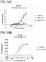Fig. 34 - Proteins binding NKG2D, CD16 and CLEC12A